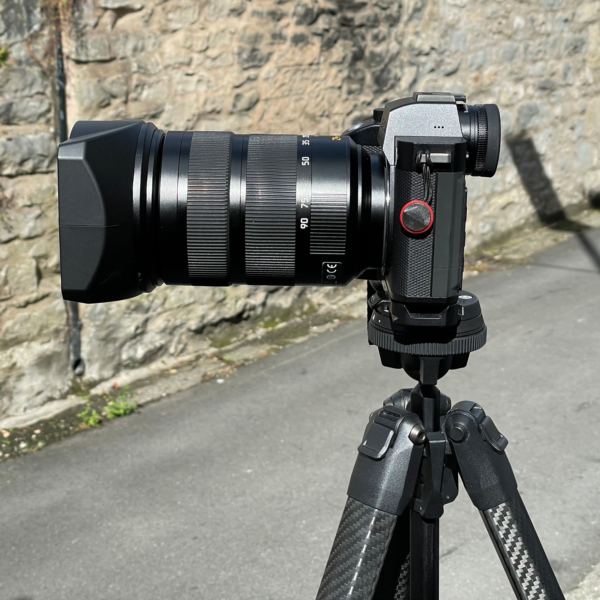Tripod with SL2s and 24-90mm